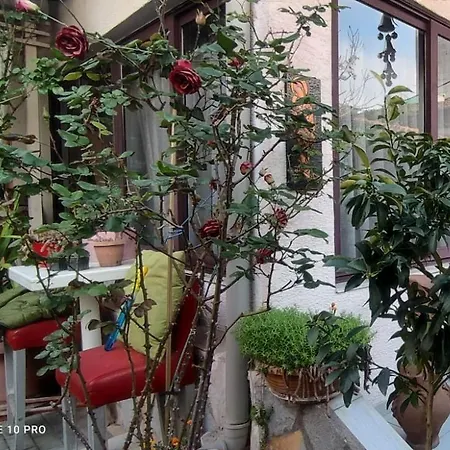 Hygge Maison d'hôtes Tirana