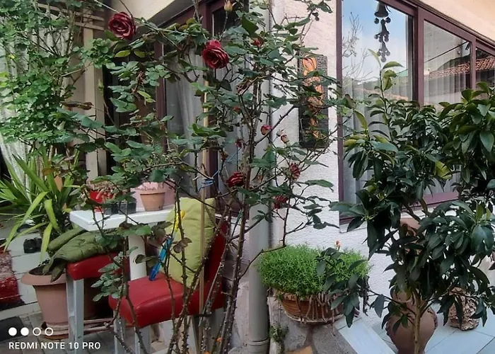 Hygge Pensjonat Tirana